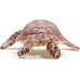 Фігурка Schleich Морська черепаха Хоксбіла (14876) title=