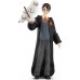 Набор фигурок Schleich Гарри Поттер и сова Хедвиг (42633) title=