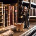 Набір фігурок Schleich Harry Potter Герміона і Криволапик (42635) title=