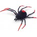 Интерактивная игрушка Pets & Robo Alive Паук Черная вдова, светится в темноте (7151) title=