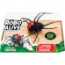 Интерактивная игрушка Pets & Robo Alive Паук Черная вдова, светится в темноте (7151) title=