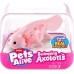 Интерактивная игрушка Pets & Robo Alive Аксолотль розовый, 9 см (9556A) title=