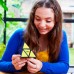 Головоломка Rubik's Пірамідка з кольоровими вставками, механізм (6062662) title=