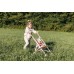 Коляска-трость Smoby Toys Беби Ньорс Терракотовая пудра (7600220408) title=