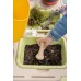 Детская кухня Smoby Toys Life Садоводство с аксессуарами (7600840208) title=