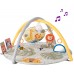 Розвиваючий музичний килимок Taf Toys Пригоди на 360°, 94х94 см (12785) title=