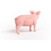 Фигурка Schleich Свинья (13933) title=