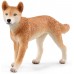 Набор фигурок Schleich Приключения в Австралии: рейнджер, кенгуру, динго с аксессуарами  (42623) title=