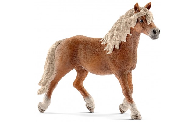 Фигурка Schleich Конь породы Гафлингер Шляйх (13813)