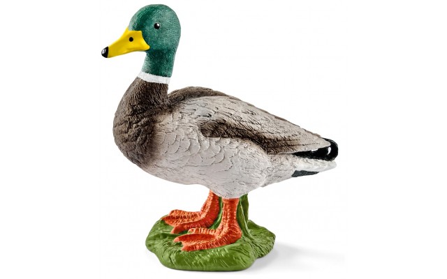 Фигурка Schleich птица Селезень Шляйх (13824)