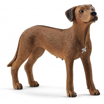 Фигурка Schleich собака Родезийский риджбек (13895)