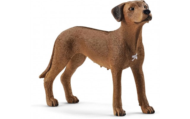 Фигурка Schleich собака Родезийский риджбек (13895)