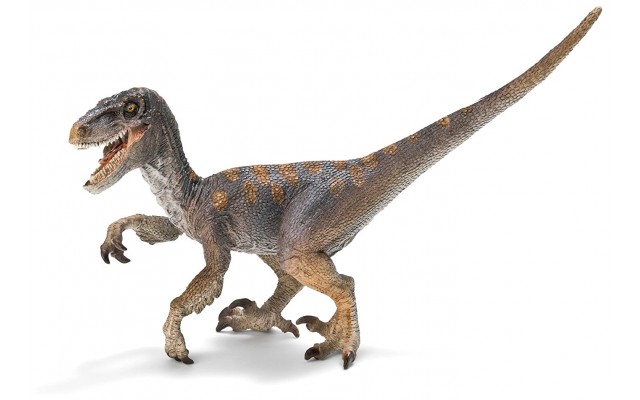 Фігурка Schleich Велоцираптор Шляйх (14524)