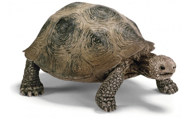 Фігурка Schleich Гігантська черепаха Шляйх (14601)