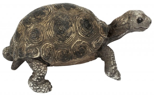 Фігурка Schleich молода Гігантська черепаха Шляйх (14643)