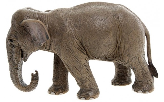Фигурка Schleich Азиатская слониха Шляйх (14654)