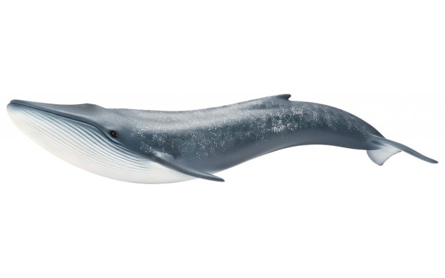 Фігурка Schleich Синій кит Шляйх (14696)