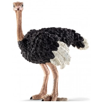 Фигурка Schleich птица Страус Шляйх (14744)