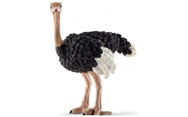Фігурка Schleich Страус Шляйх (14744)