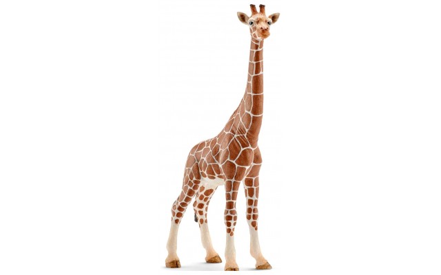 Фигурка Schleich Жираф (вид 2) Шляйх (14750)