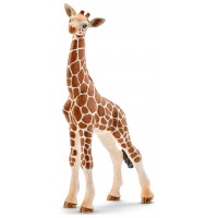 Фигурка Schleich Детеныш жирафа Шляйх (14751)