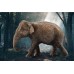 Фігурка Schleich Самка азіатського слона Шляйх (14753) title=