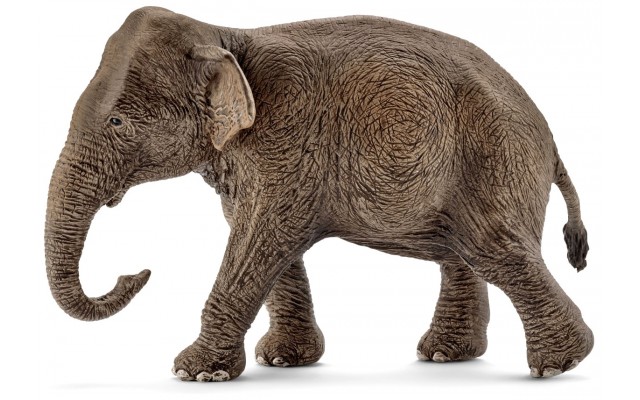 Фігурка Schleich Самка азіатського слона Шляйх (14753)