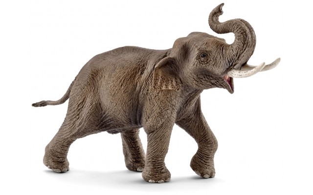 Фігурка Schleich Самець азіатського слона Шляйх (14754)