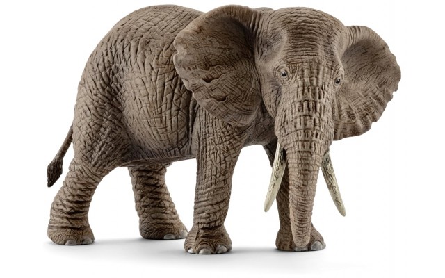 Фігурка Schleich Африканська слониха (вид 2) Шляйх (14761)