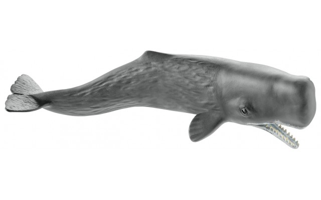 Фігурка Schleich кашалот (14764)