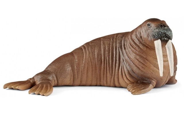 Фигурка Schleich Морж (14803)