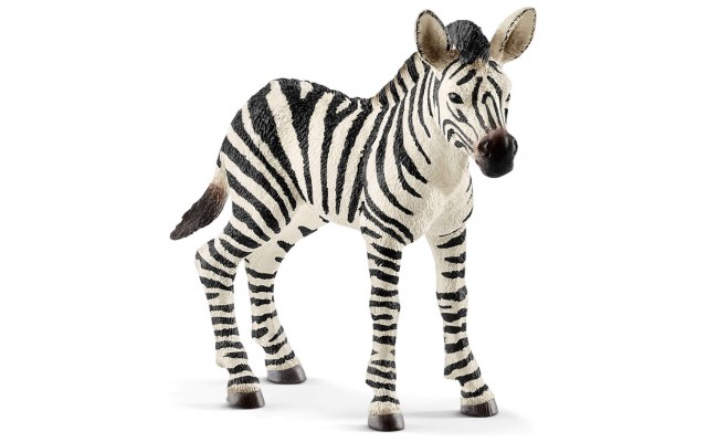 Фігурка Schleich лоша Зебри (14811)