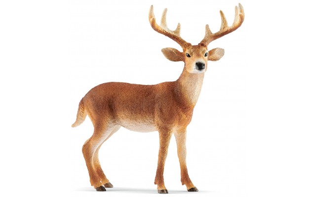 Фигурка Schleich Белохвостый олень (14818)
