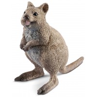 Фігурка Schleich Короткохвостий кенгуру Квоккі (14823)