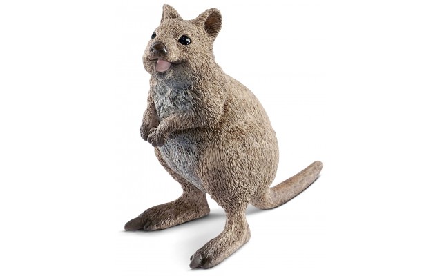 Фігурка Schleich Короткохвостий кенгуру Квоккі (14823)