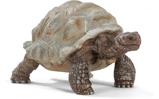 Фигурка Schleich Гигантская черепаха (14824)