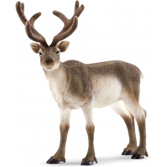 Фігурка Schleich Північний олень (14837)