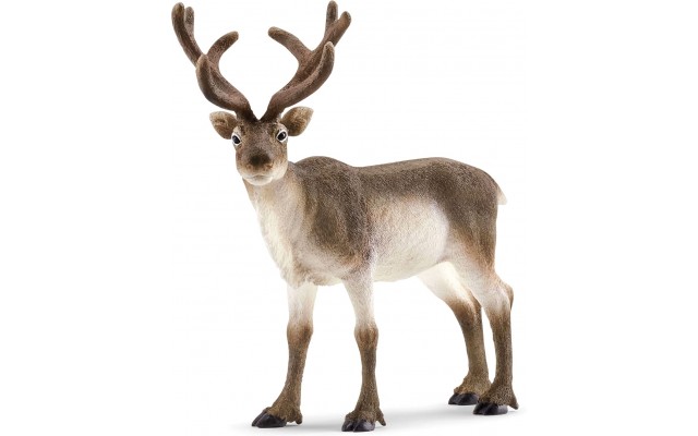 Фигурка Schleich Северный олень (14837)