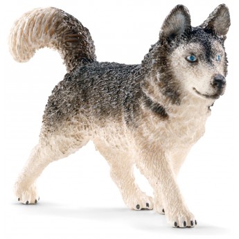 Фігурка Schleich Хаскі Шляйх (16835)
