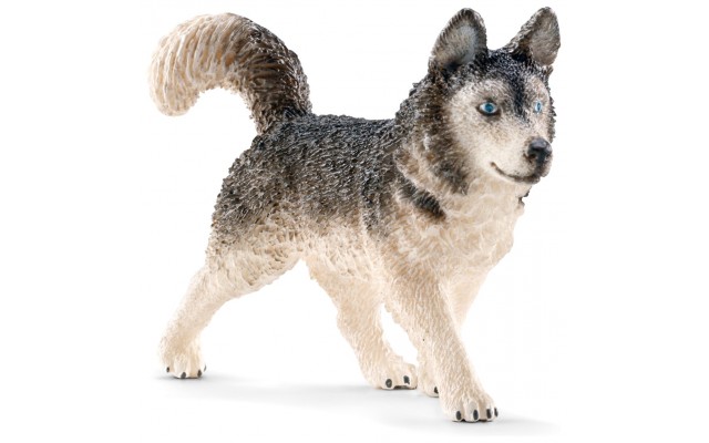 Фигурка Schleich собака Хаски Шляйх (16835)