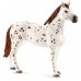 Набор Schleich Аппалузские лошади готовятся к турниру (42433) title=
